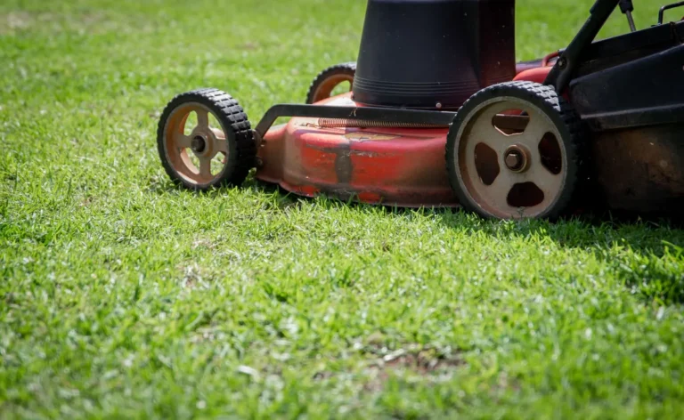 the one third mowing rule in Rock hill