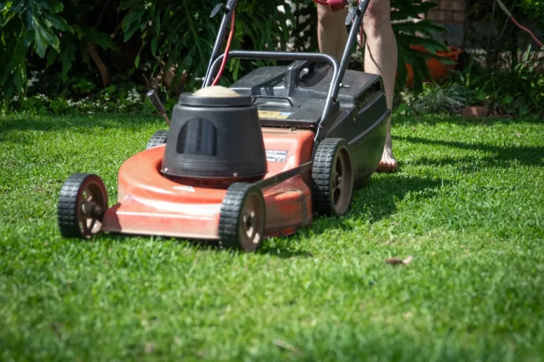best time to mow lowns in lawn in Rock hills summer